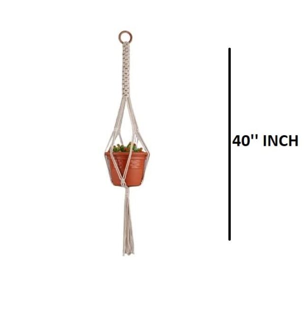DXYZ Macrame Cotton Twisted Outdoor/Indoor Plant Hanger [Without Pot] | Rope Flower Pot Holder for Balcony Garden Wall | Home Decor Basket Hanger (Ivory, 1), 1 Piece - Image 2