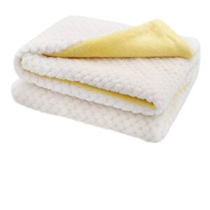 furrybaby Dog Blankets for Small Dogs & Cats for Couch, Reversible Flannel Blankets for Pets 24x32 Inch, Cat Blankets for Indoor Cats Washable(White)
