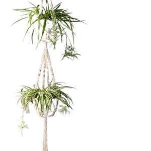 DXYZ Macrame Cotton Plant Hanger with Wooden Dowel [Without Pot] (Double 2 Tier (D128), 1 Piece