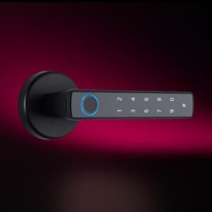 Toss Smart Wi-Fi Rim Lock for Wooden & Metal Doors | 5 Ways Unlocking | Fingerprint | PIN | NFC Card | Biometric Security | Key | 2 Stainless Steel Bolt | 2 Year Warranty (Black)