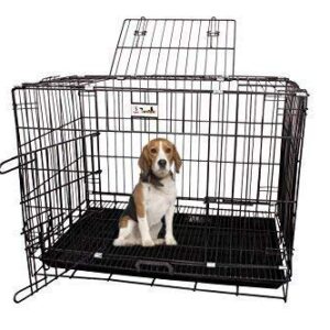 Woofy Dog Cage Double Door Heavy Duty Folding Metal for Medium Size Dogs and Adults - 30 Inch (Black)