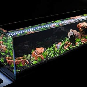 Parko Big Size Fish Tank Aqua Habitat Aquarium 24 Litre,9x9x18 Inches(Colour May Vary,)(Glass Tank ONLY)