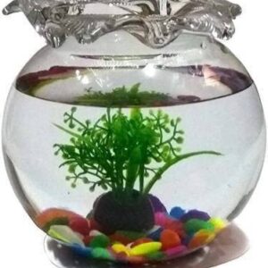Aivyansh Aquarium Tank Crystal Glass Clear Fish Bowl, Fish Pot Flower Pot Glass for Home/Office Decoration (Pack of 1) (6 inch)