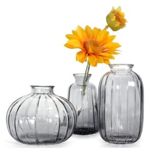 Nostrae by Ekhasa 100% Crystal Clear Glass Bud Vases Flower Pots for Home Decor (Set of 3) | Center Table Mini Decorative Items | Transparent Glass Vase for Water Plants | Planters for Indoor Plants Online at Low Prices in India -