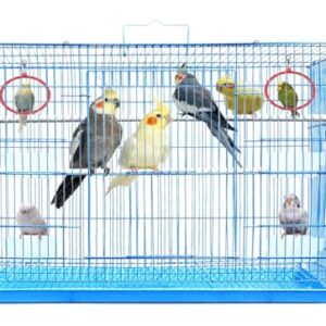 JAINSONS PET PRODUCTS 2.5 Feet Bird Iron Cage For Parakeet, Lovebird, Parrot, Budgie, Cockatiel Cage Hammock 30X18X18 Inch (Color May Vary)