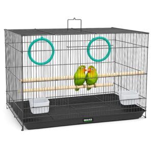 Buraq 24 Inch Metal Bird Cage with 2 Doors for Parrots Lovebirds Budgies Parakeets and Cockatiels Includes Swings Wooden Perches Feeders and Detachable Cleaning Tray