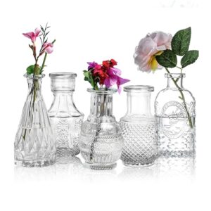 Nostrae by Ekhasa 100% Crystal Clear Glass Bud Vases Flower Pots for Home Decor (Set of 5) | Center Table Mini Decor Items | Transparent Glass Vase for Water Plants | Glass Planters for Indoor Plants Online at Low Prices in India -