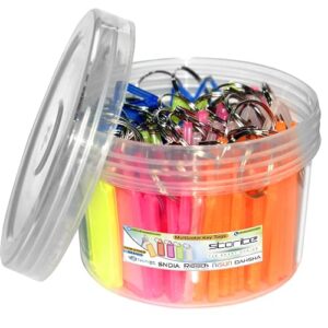 Storite 50 Pcs Multicolor Keyring & Keychain with Name Tag Labels Assorted Keychain with Two Side Id Label and Split Ring for Office, Home Key,