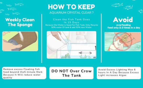 Blutails Aquarium Internal Filter | Bluepet BL-6005F 4 in 1 High Power Biological, Mechanical, & Chemical Filteration System |, 15W AC 220-240V MAX Output 880L/H. - Image 6