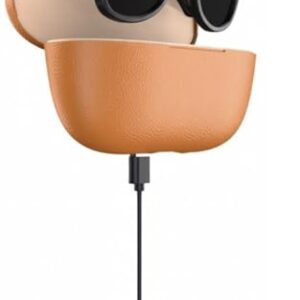 Aeoss Smart AI Glasses 1080p HD POV Camera with 32GB Memory, Wireless Bluetooth Sunglasses for Music & Calls, Real-Time AI Translation Assistant, Anti-Shake Video Recording & Charging Case (Black) :